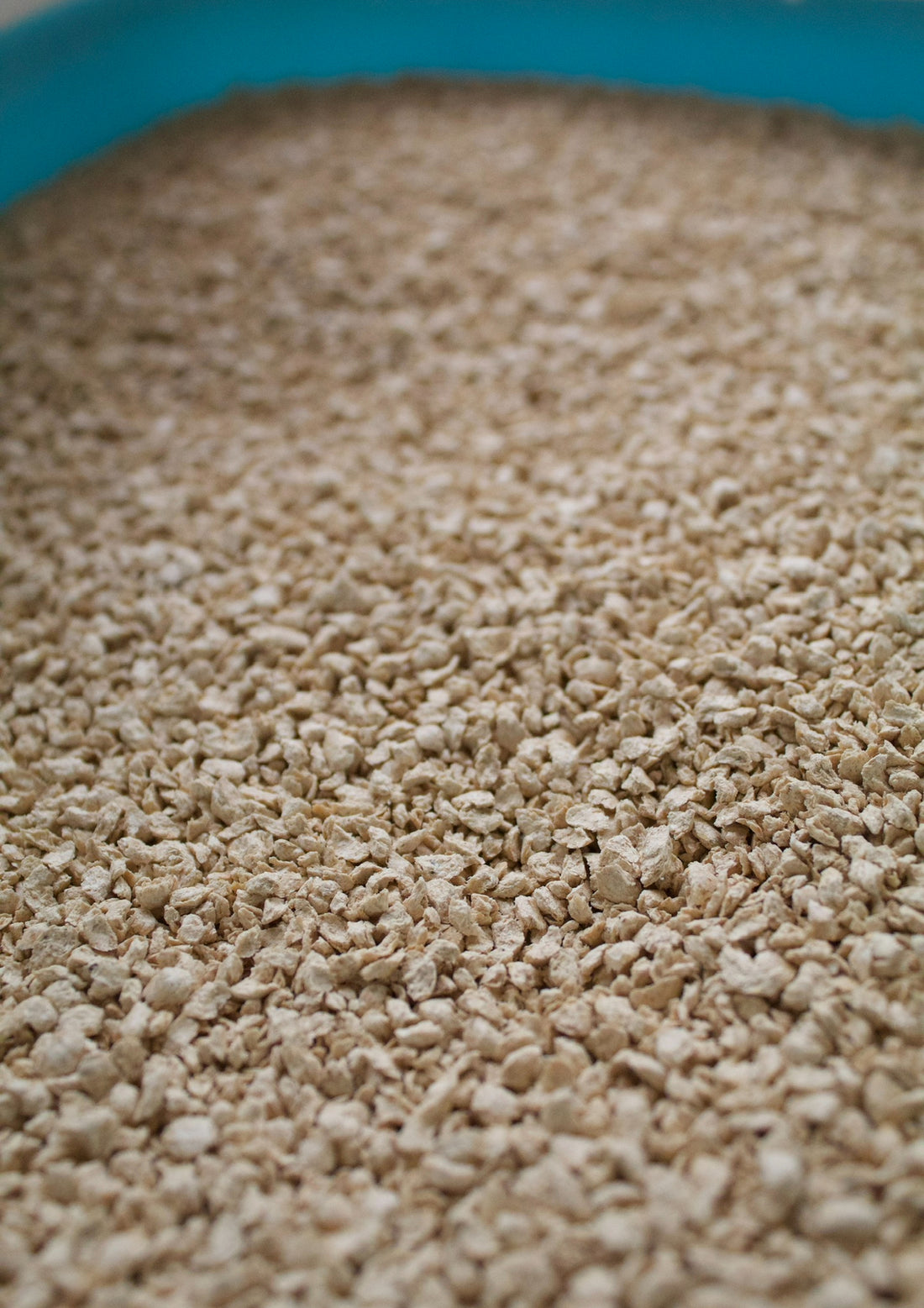 ¿Por Qué Elegir Arena Ecológica para tu Gato?