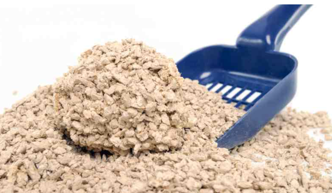 Pack Cosycat 4,3 kg + 4,3 kg