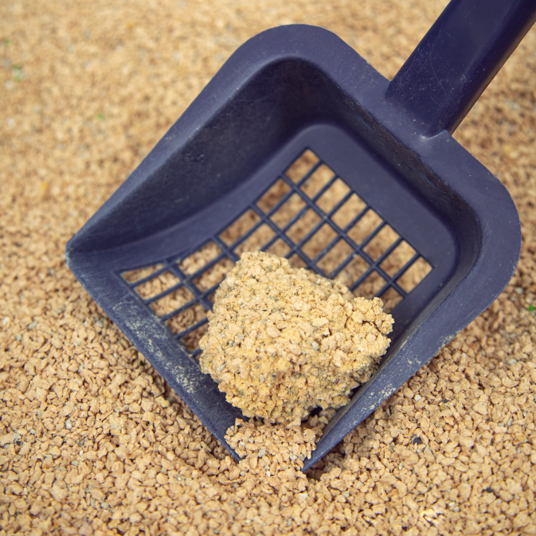 Arena Biodegradable Cosycat 8,6 kg