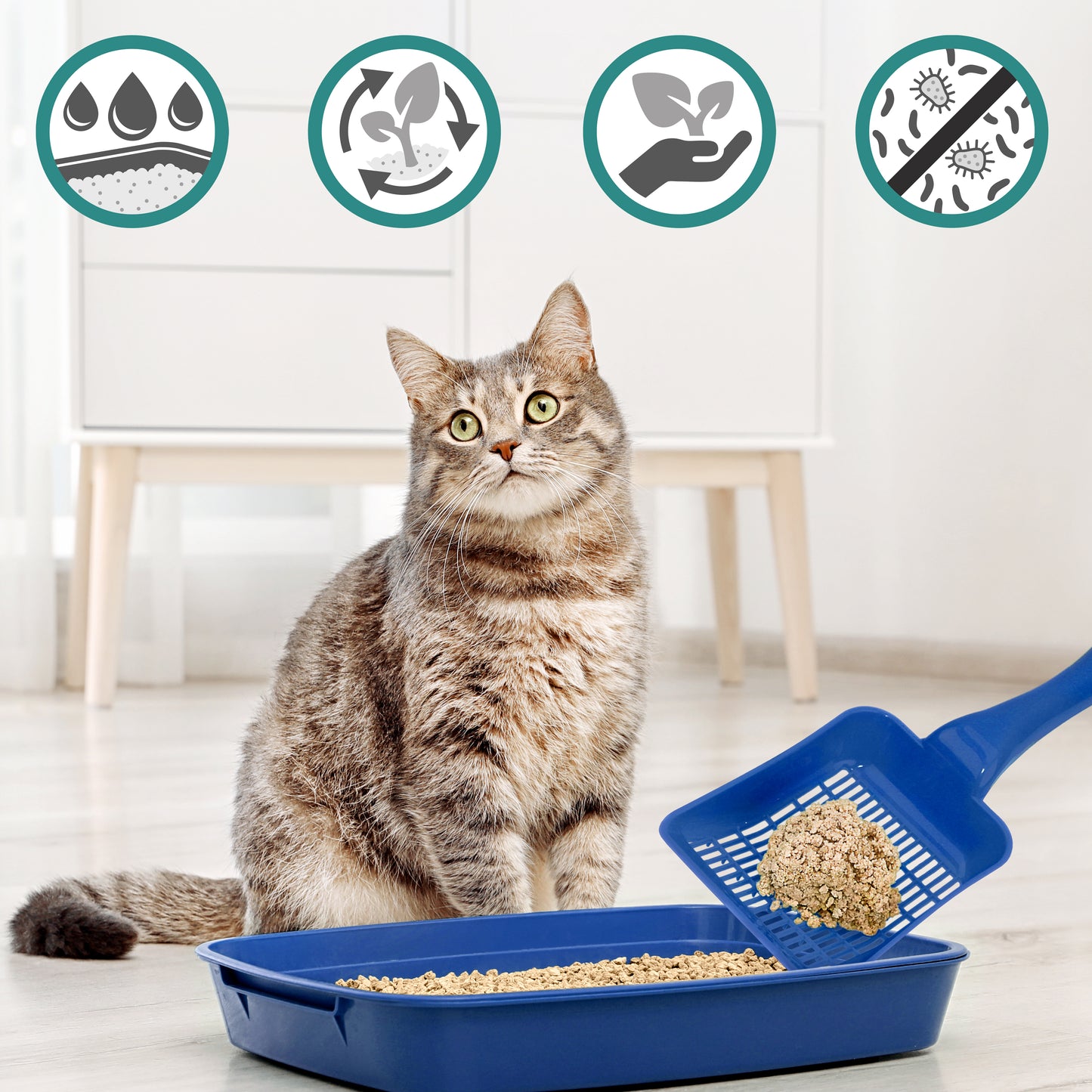 Arena biodegradable Cosycat 4,3 kg