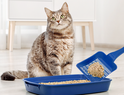 Pack Cosycat 8,6 + 8,6 kg